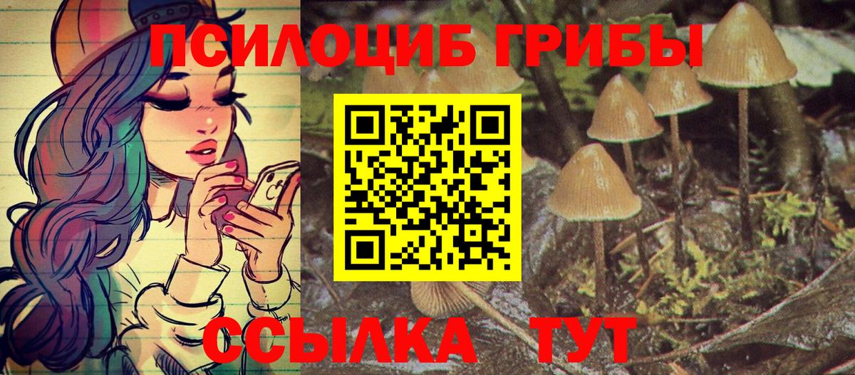 Псилоцибиновые грибы ЛСД Новотроицк
