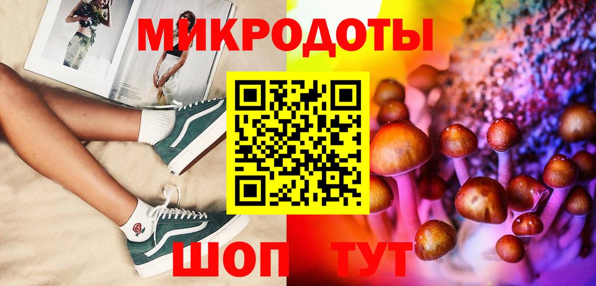 как найти наркотики  Галлюциногенные грибы мицелий  Вход с VPN  Новотроицк  Псилоцибиновые грибы мухоморы 
